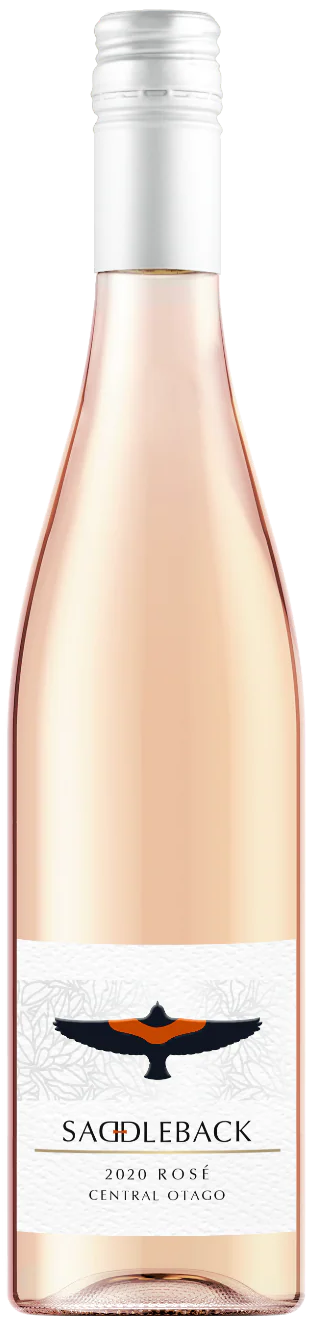 Saddleback Rose 2024