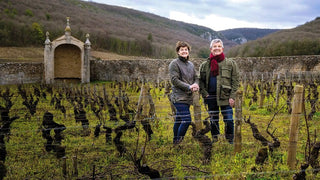 The Case for Gevrey-Chambertin