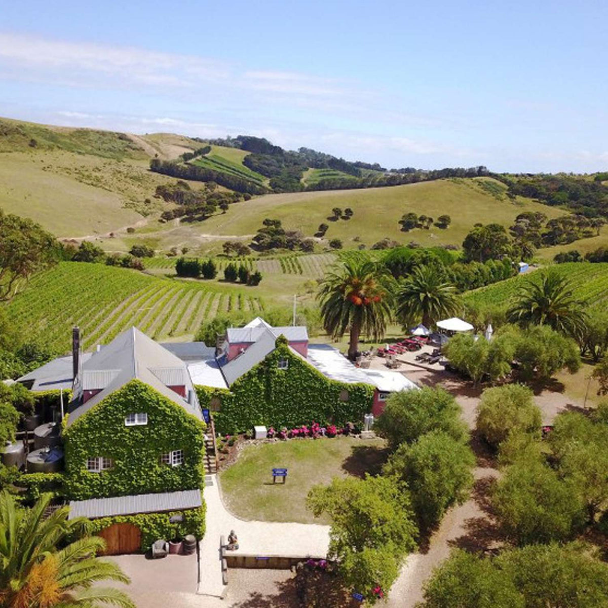 Stonyridge - Larose Vertical Dinner Auckland 20th May 2027 6