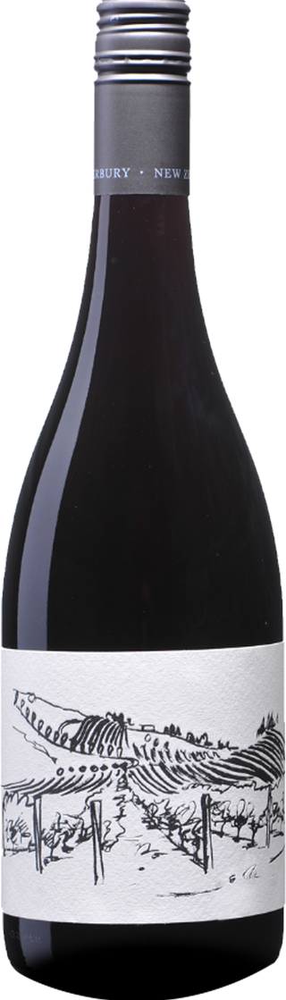 Greystone Vineyard Ferment Pinot Noir 2021