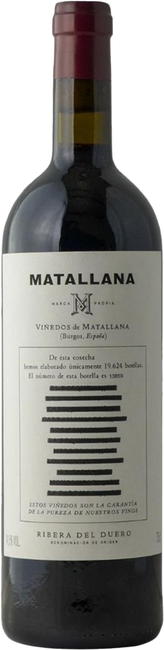Telmo Rodriguez Matallana 2023