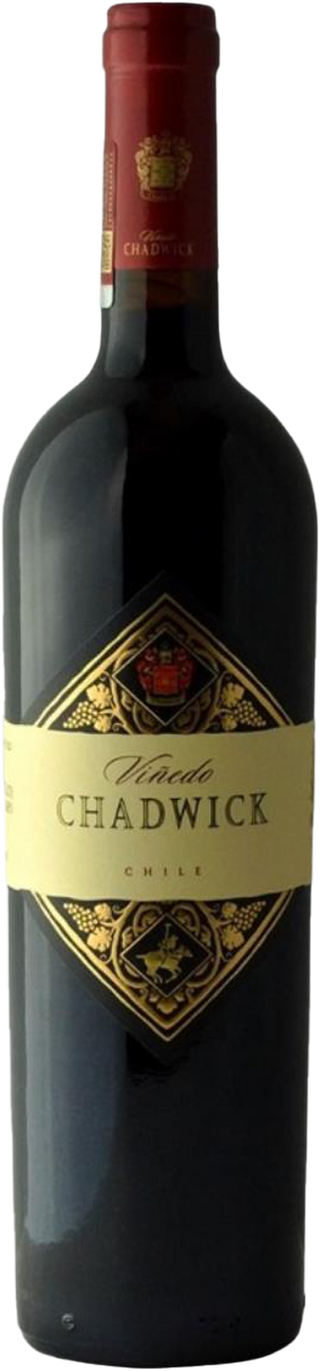 Vinedo Chadwick 2023