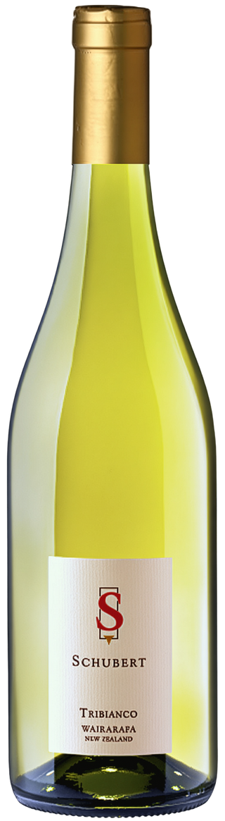 Schubert Tribianco 2022