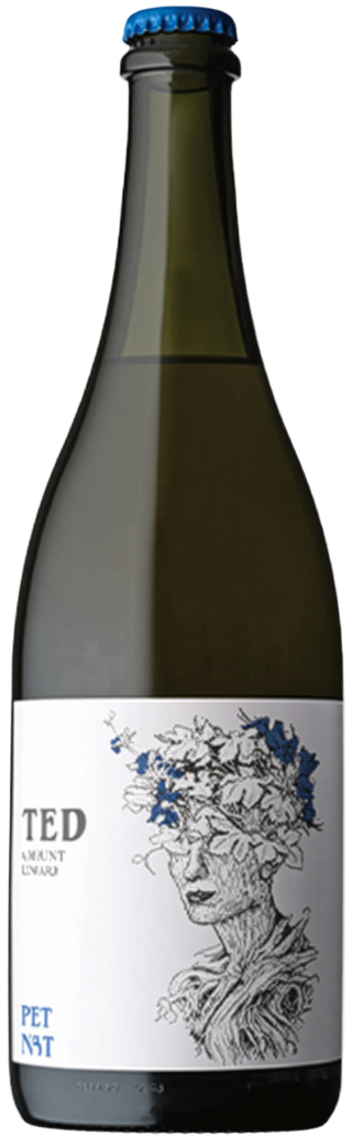 Ted by Mount Edward Pet-Nat Chenin Blanc 2023