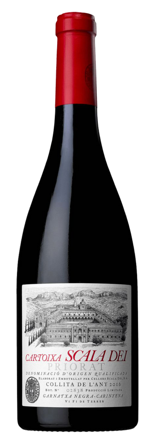 Scala Dei Cartoixa 2019