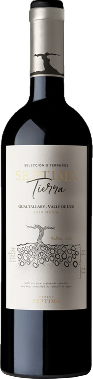 Bodega Septima Tierra Gualtallary 2022