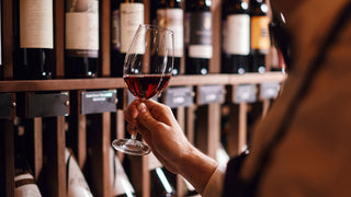 Cellar Angel Service -<br><i>Anywine, anywhere</i>